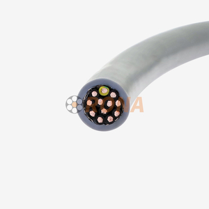 300/500V HFV 12G1mm&sup2; cabo de controle de corrente de arrasto de PVC protegido