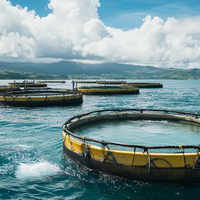  Ind&uacute;stria da aquicultura 
